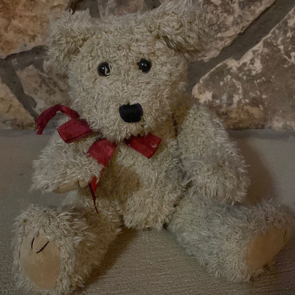 Boyd’s Bear